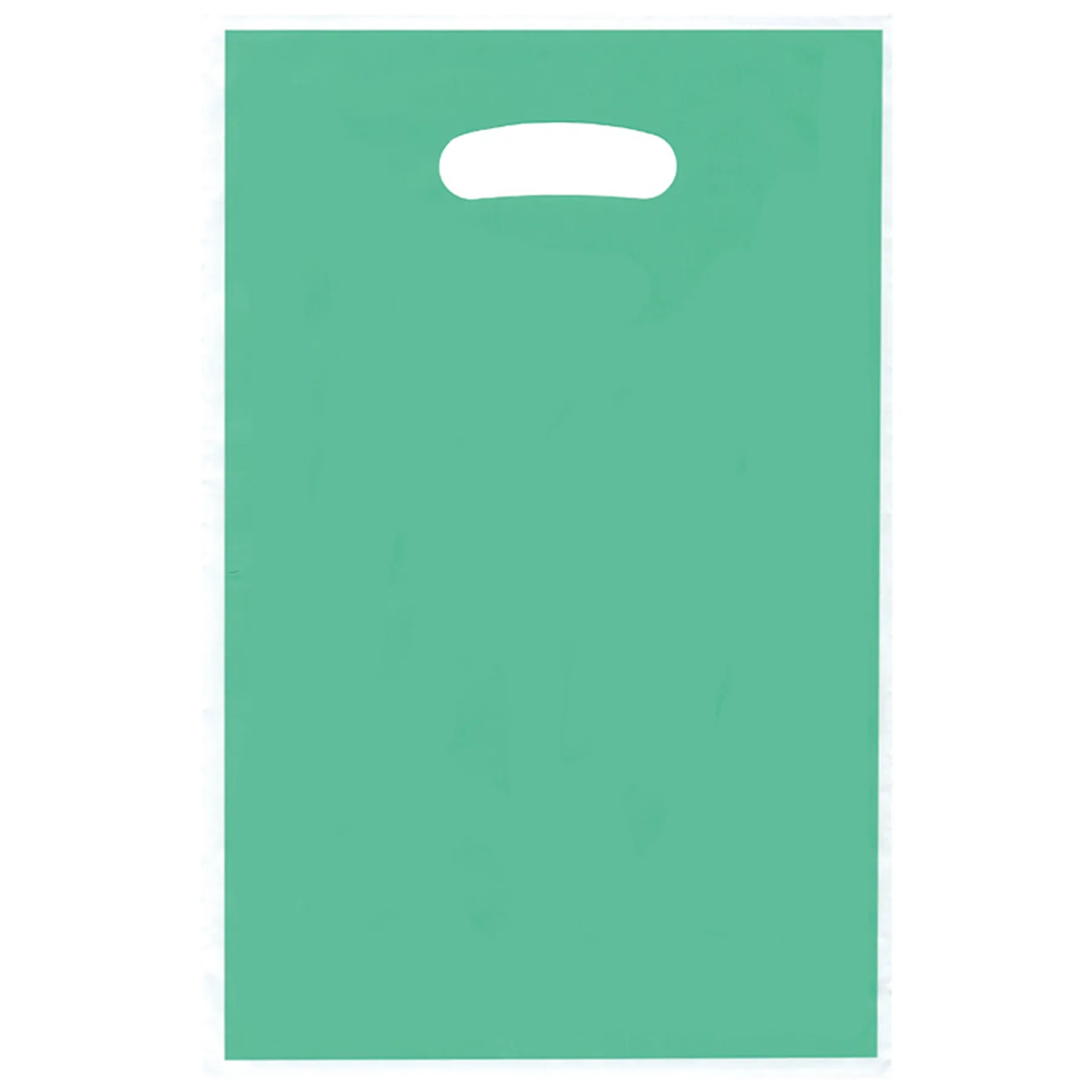Plastic Shopping Merchandise Gift Bag 5