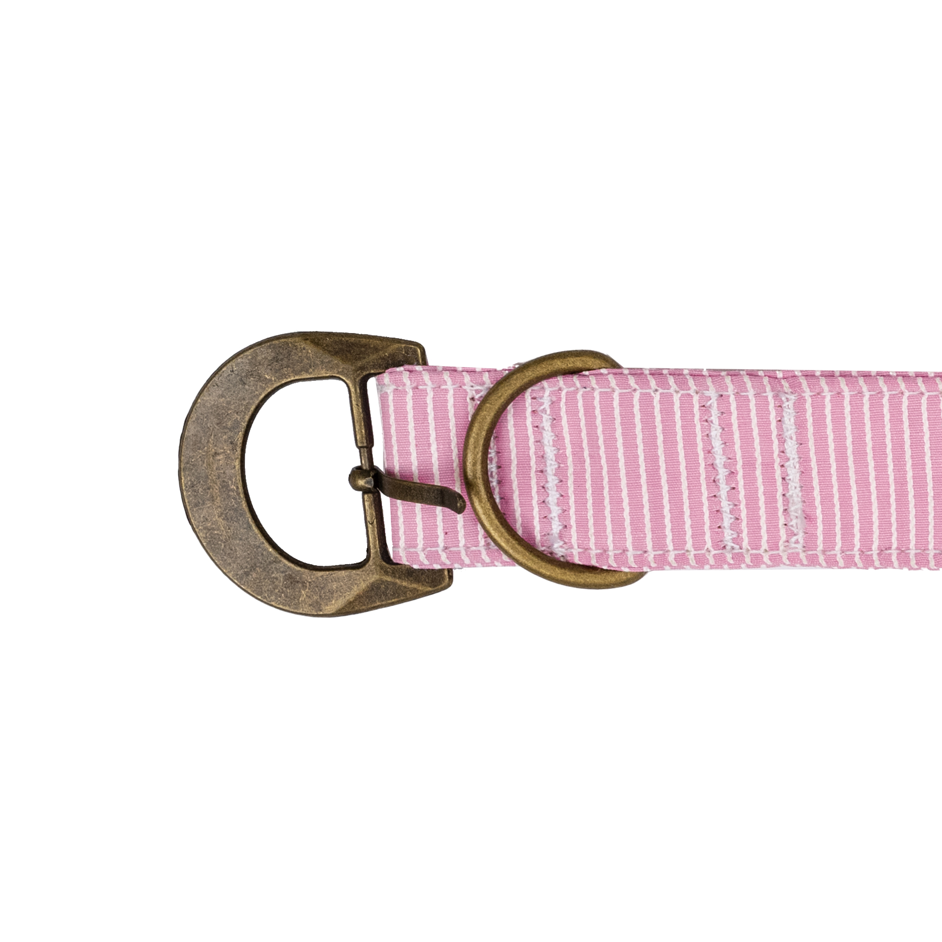 Poly Cotton Premium Large Buckle Dog Collar 20" - 26" 9