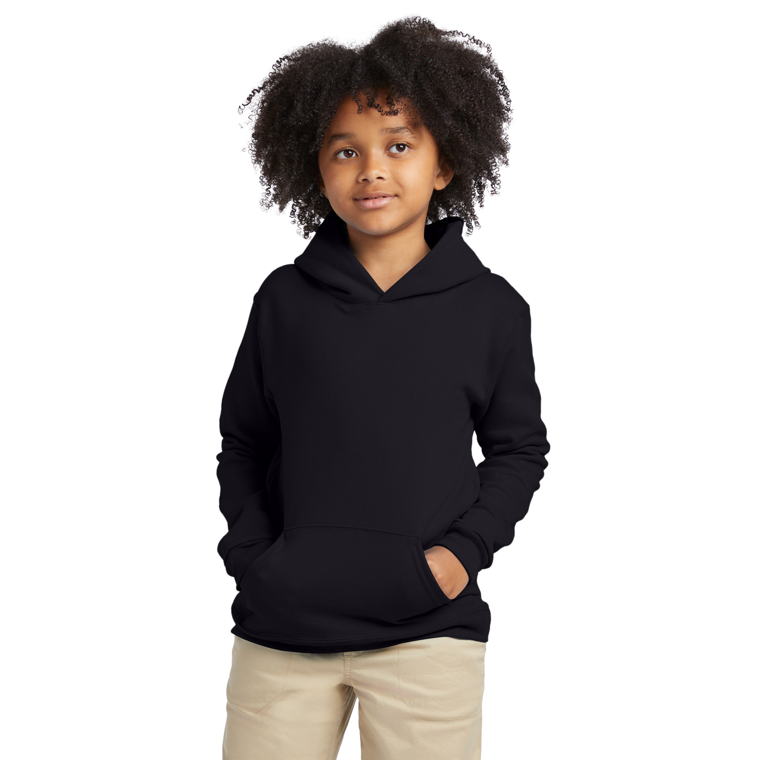 Hanes EcoSmart Fleece Pullover Hoodie 1