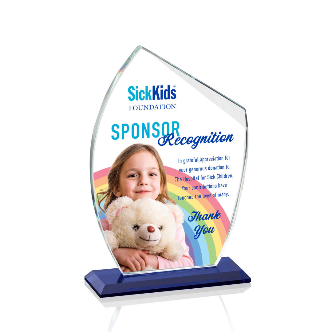 Winston VividPrint™ Award 11