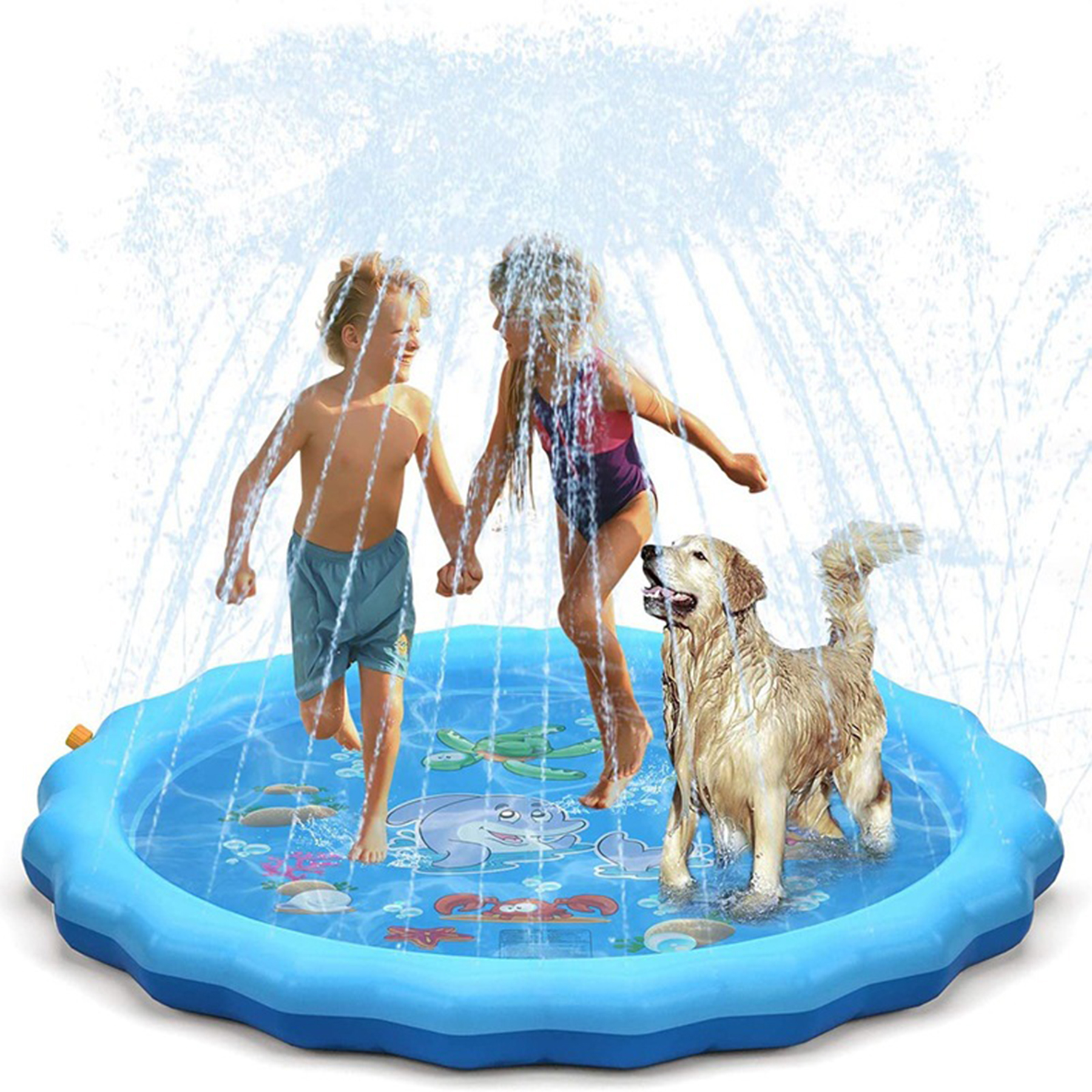 Backyard Water Toy Splash Pad 2