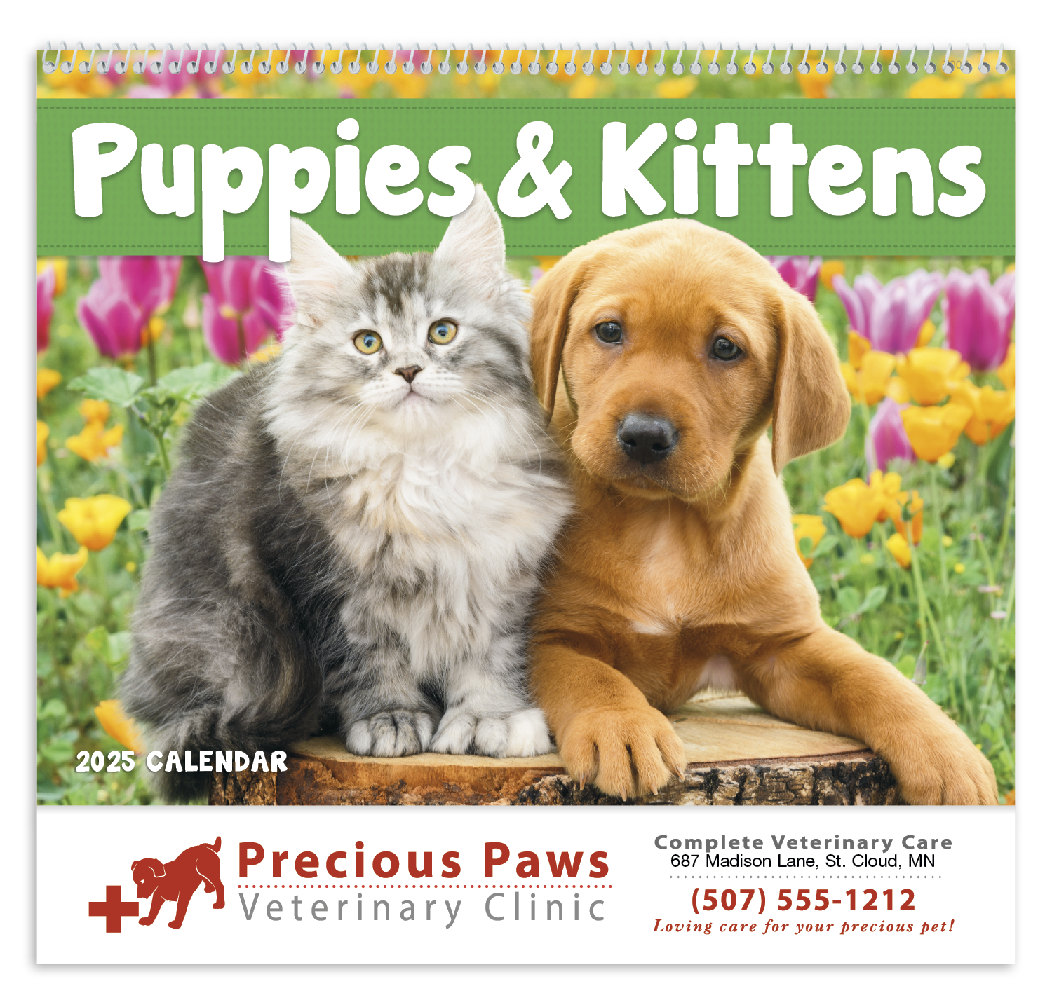 Good Value™ Puppies & Kittens - Spiral Calendar 27