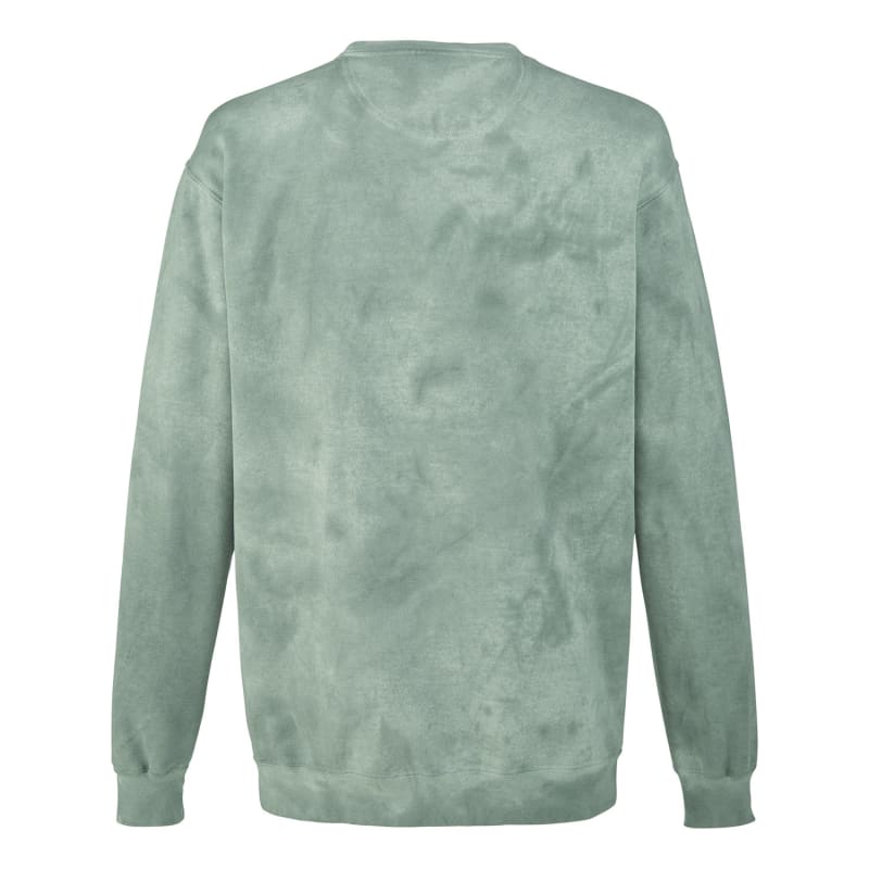 Comfort Colors Adult Color Blast Crewneck Sweatshirt 5