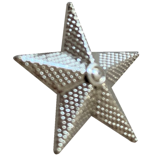 Die Struck Lapel Pin 22