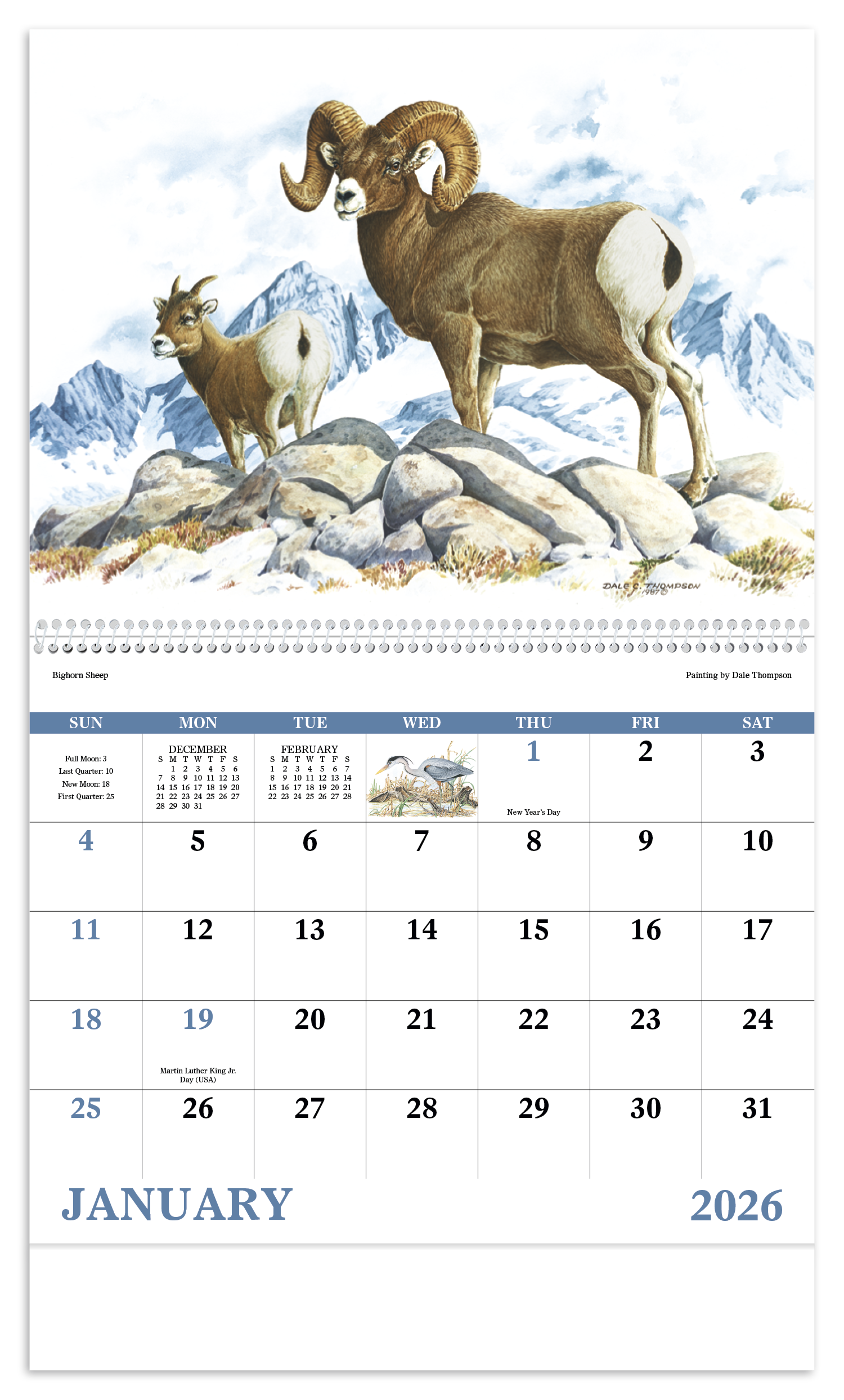 Good Value™ Wildlife Trek - Spiral Calendar 5