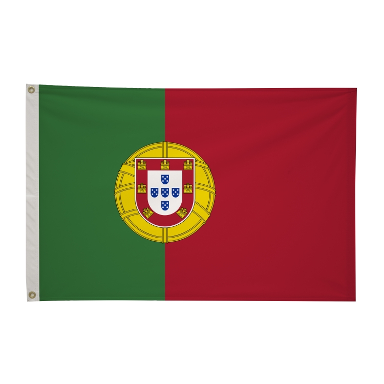 2' x 3'International Flag 192