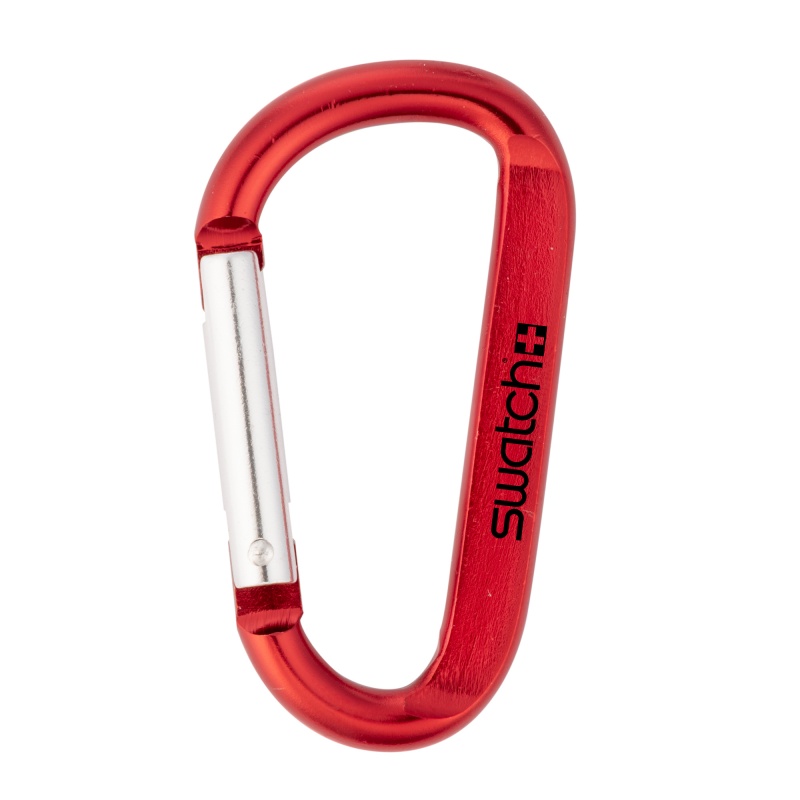 Carabiner Clip Keychain 4