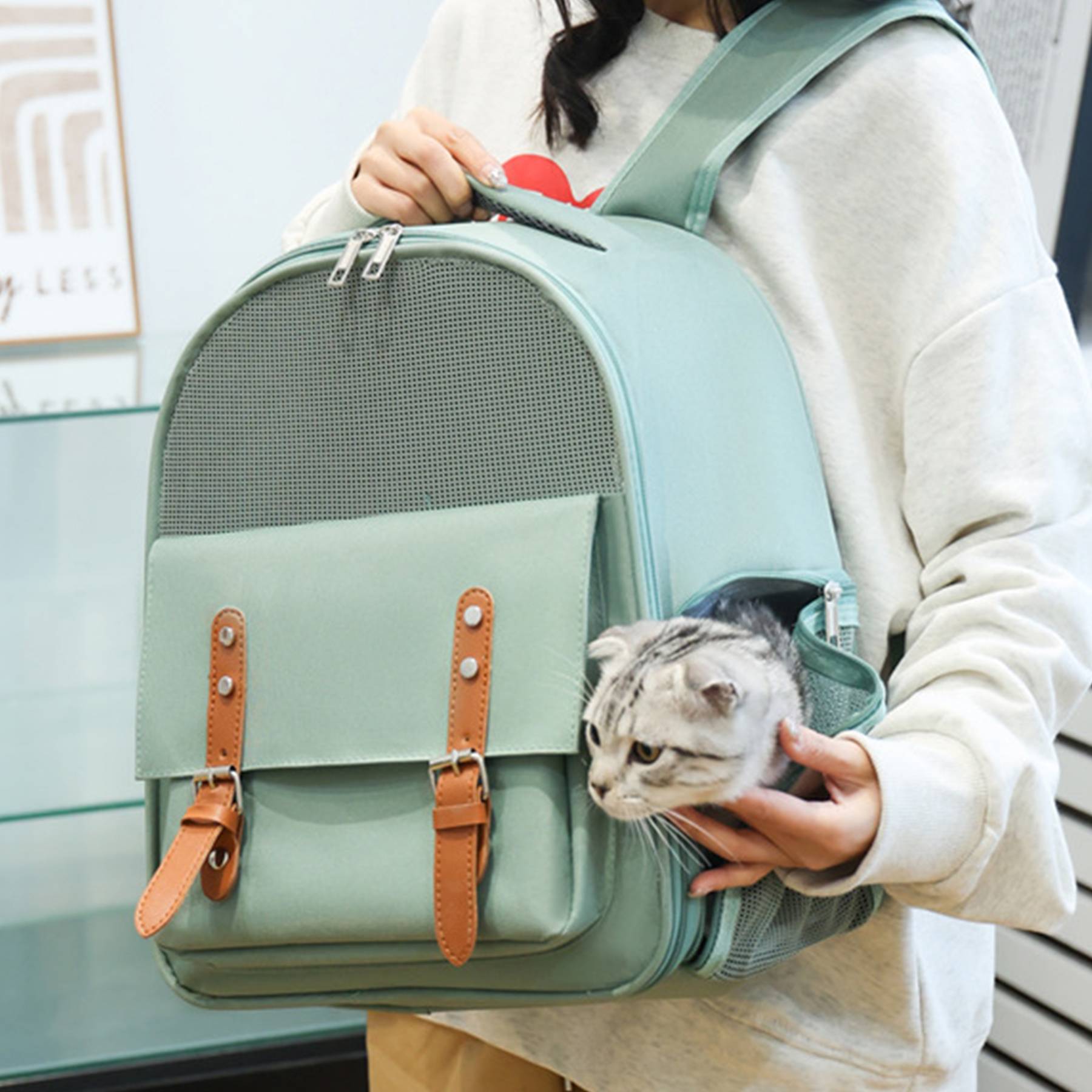 Pet Carrier Backpack with Breathable Design for Cat 3