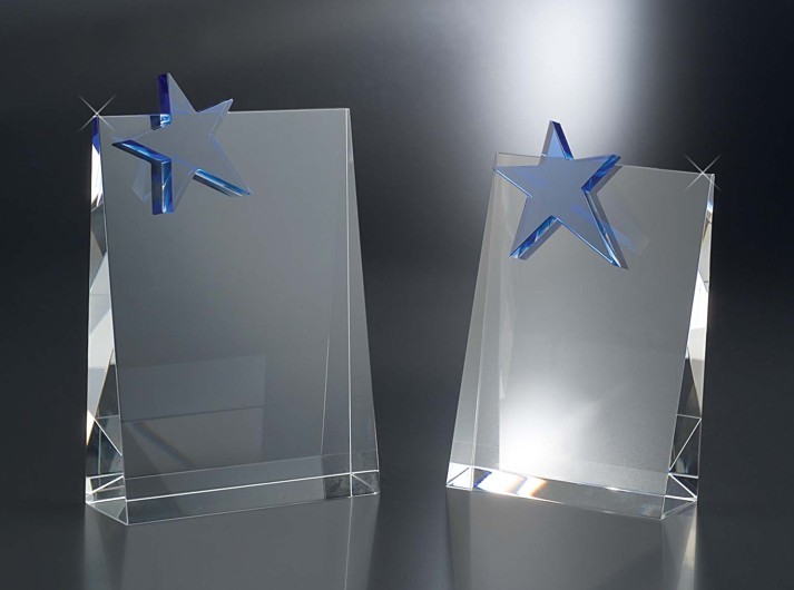 Designer Crystal Walk of Fame Award 2