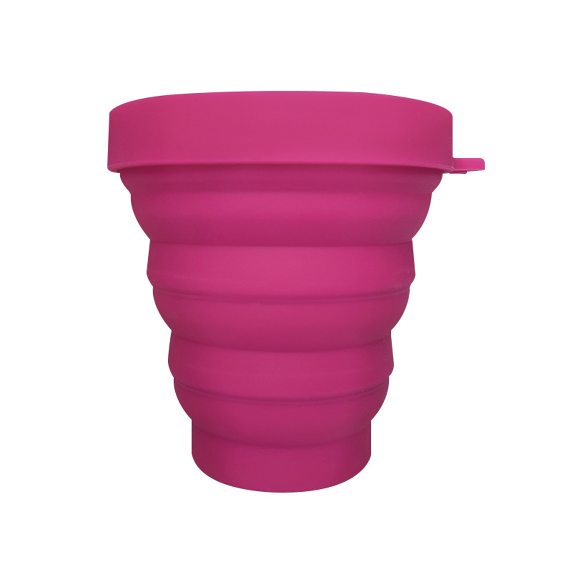 Collapsible Carabiner Pet Bowl 14