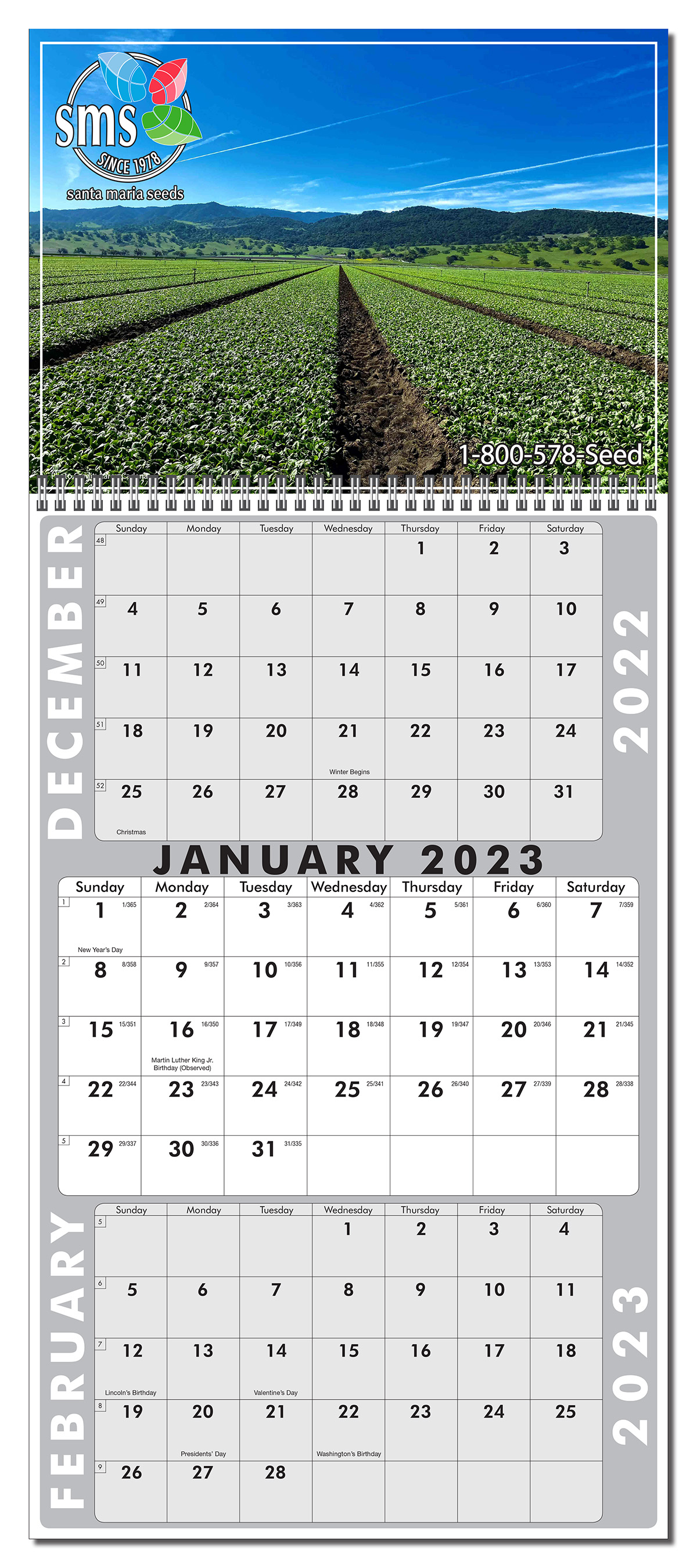 3 Month View full Color Wall Calendar 5