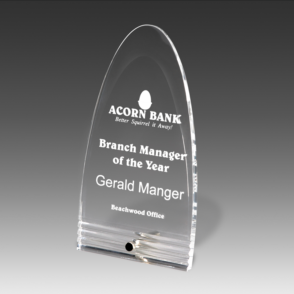 Fasten Stand Up Magellan Award (4"x7"x") 1