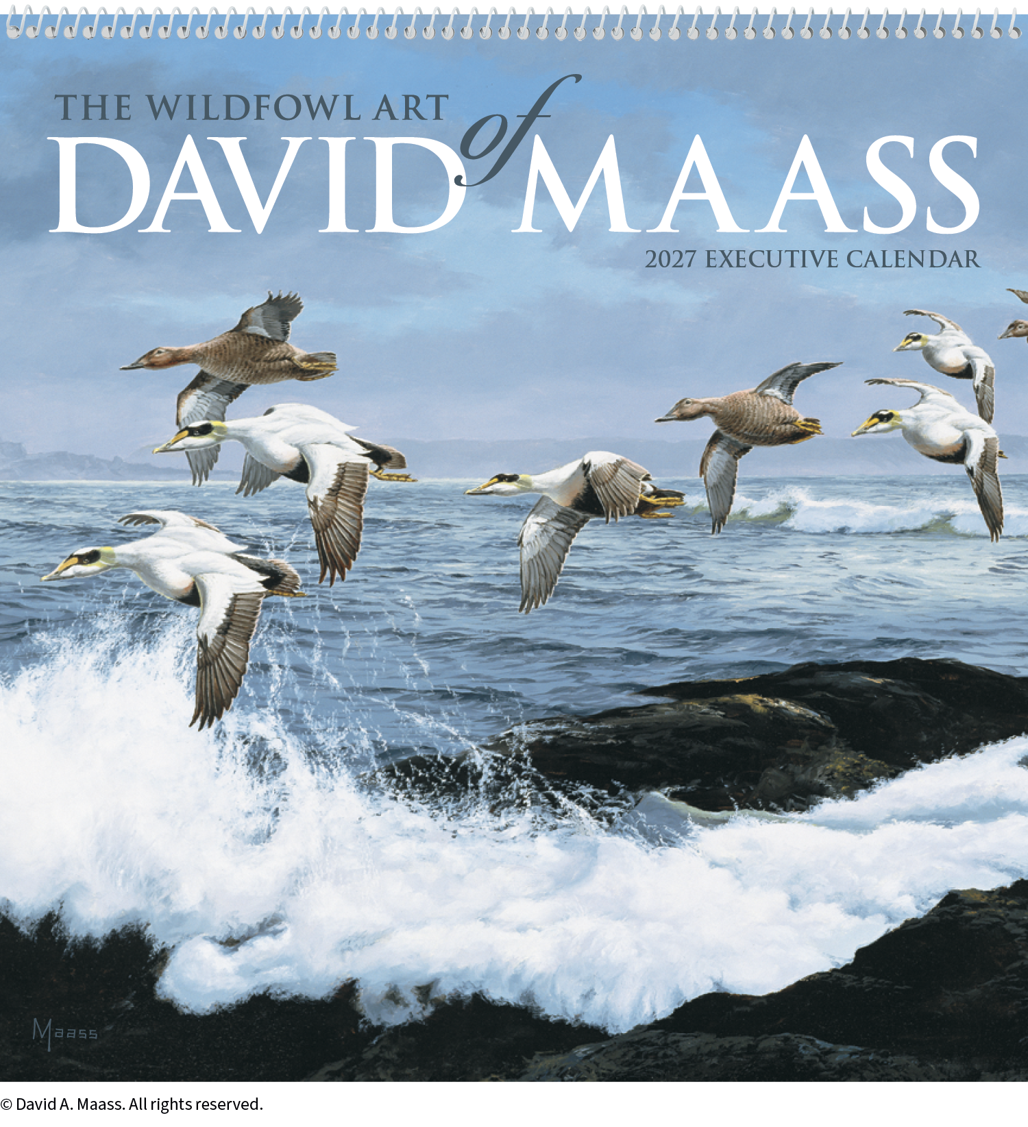 HotLine® Products David Maass Executive Calendar 27