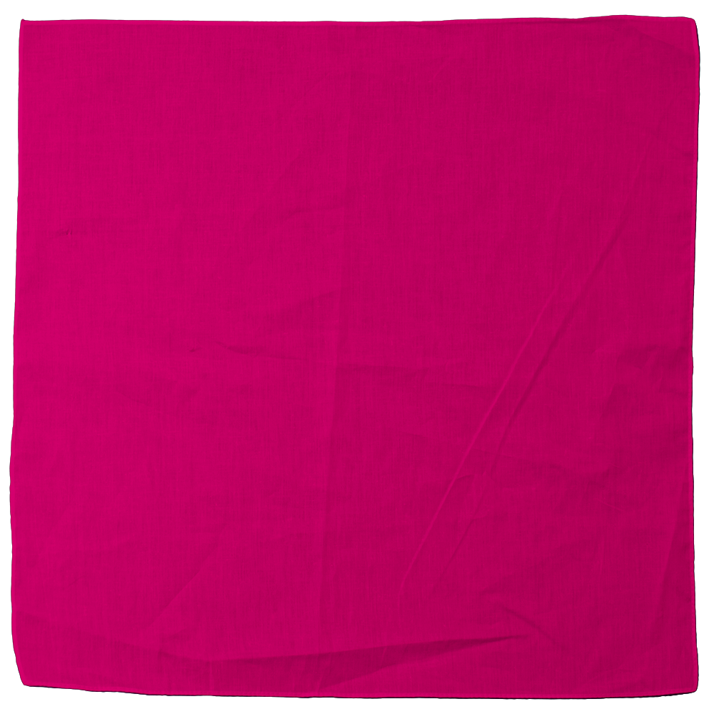 Reflective Triangle Pet Bandanna 10