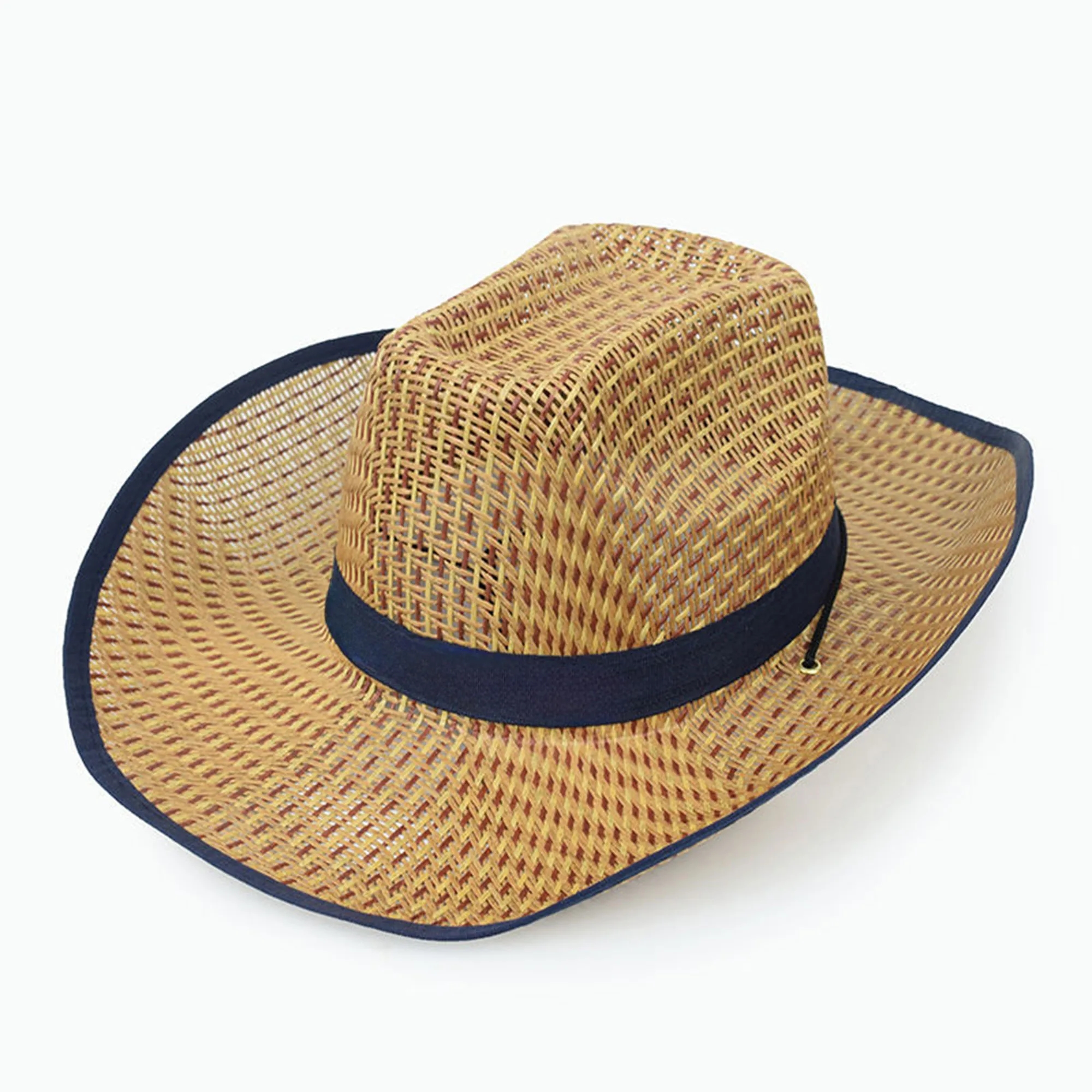 Straw Wide Brim Hat 2