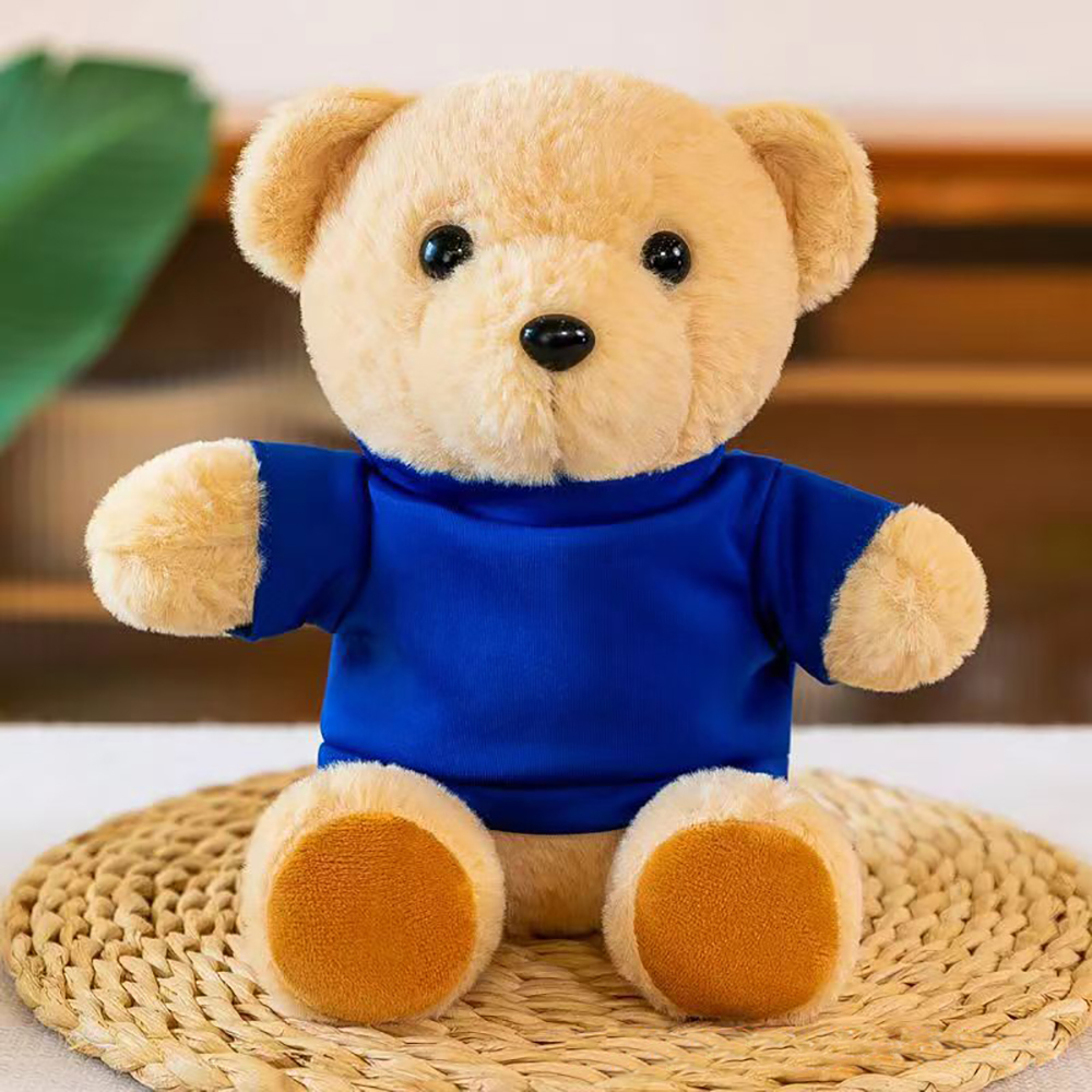 Plush Teddy Bear w/ T-Shirt 4