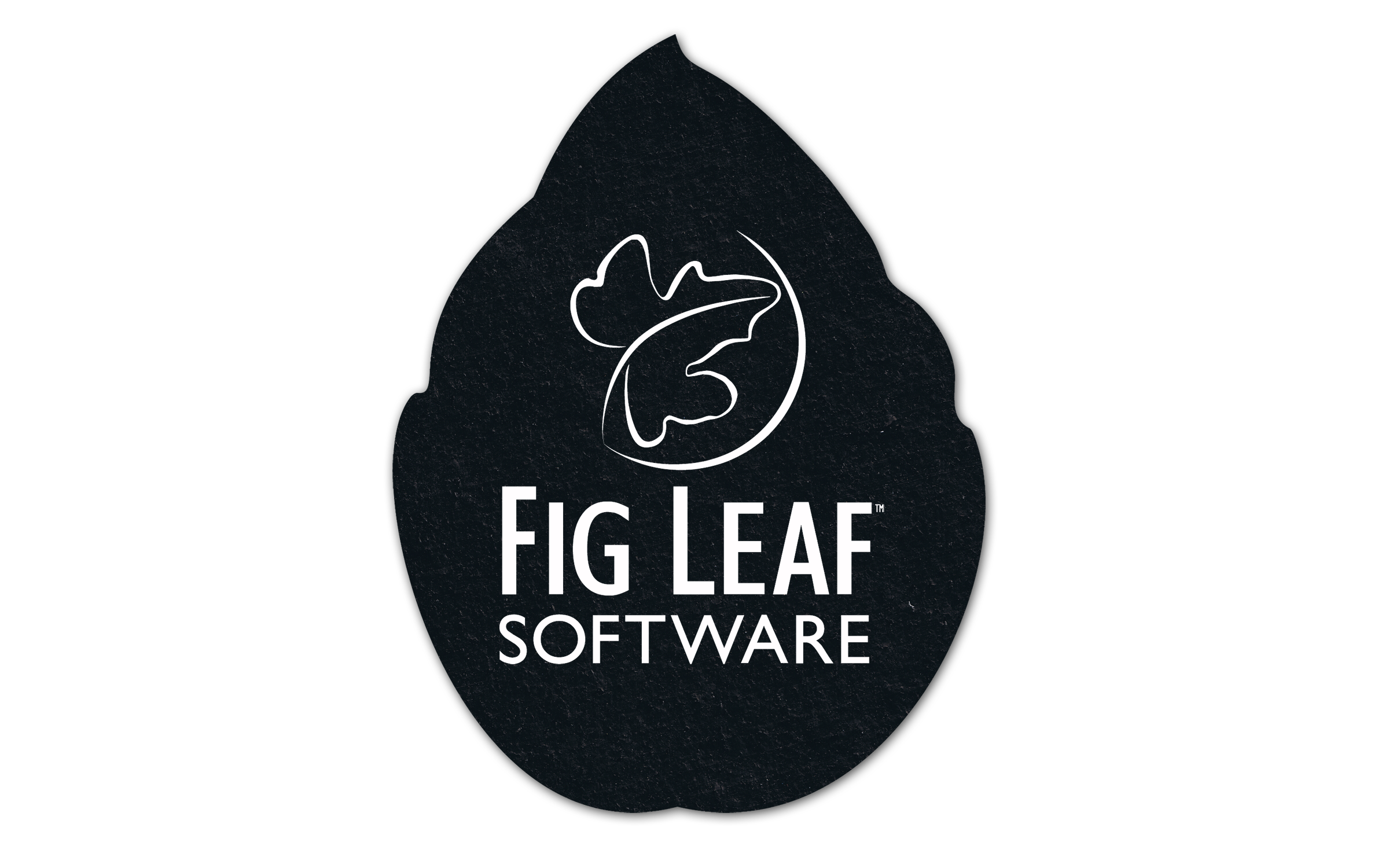 Leaf Flat Tire Coaster 3