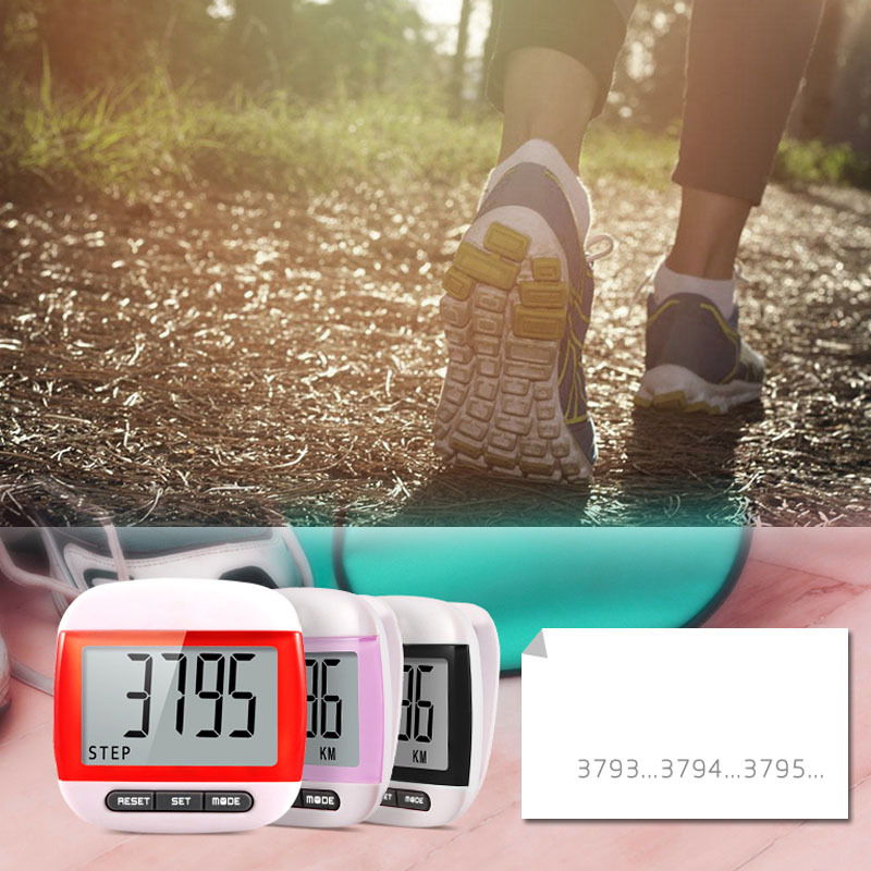 2D Pedometer with Large Digital Display 4