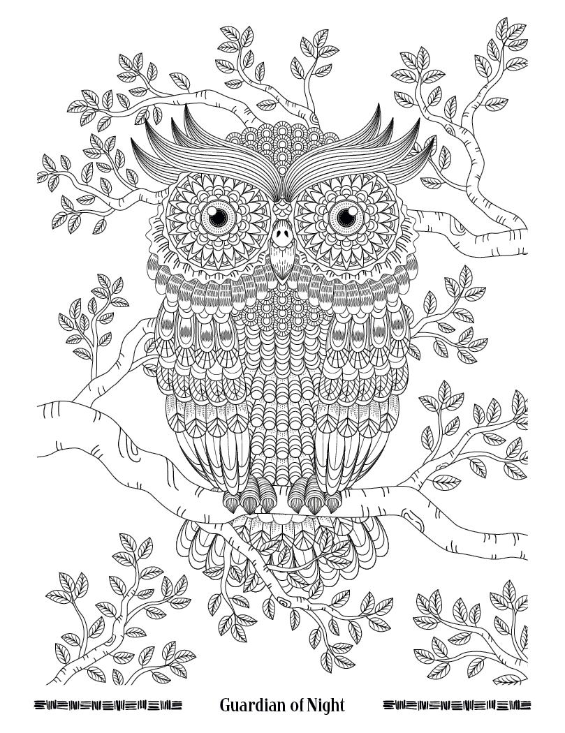 Good Value™ Wild Wonders Adult Coloring Book 18