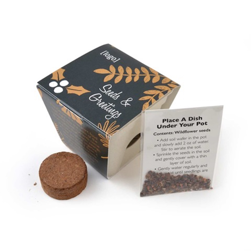 Seed Starter Planting Kit 3