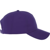 Unisex DOMINATE Ballcap 329