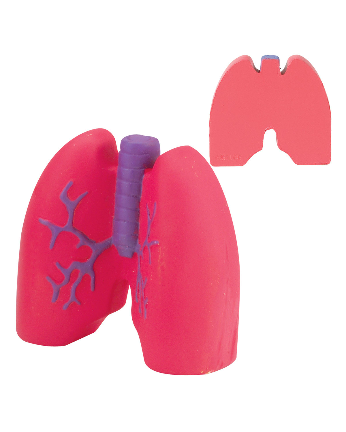 Lungs Shape Stress Ball 2