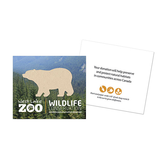 Wildlife Conservation Plantable Bear Cards 4