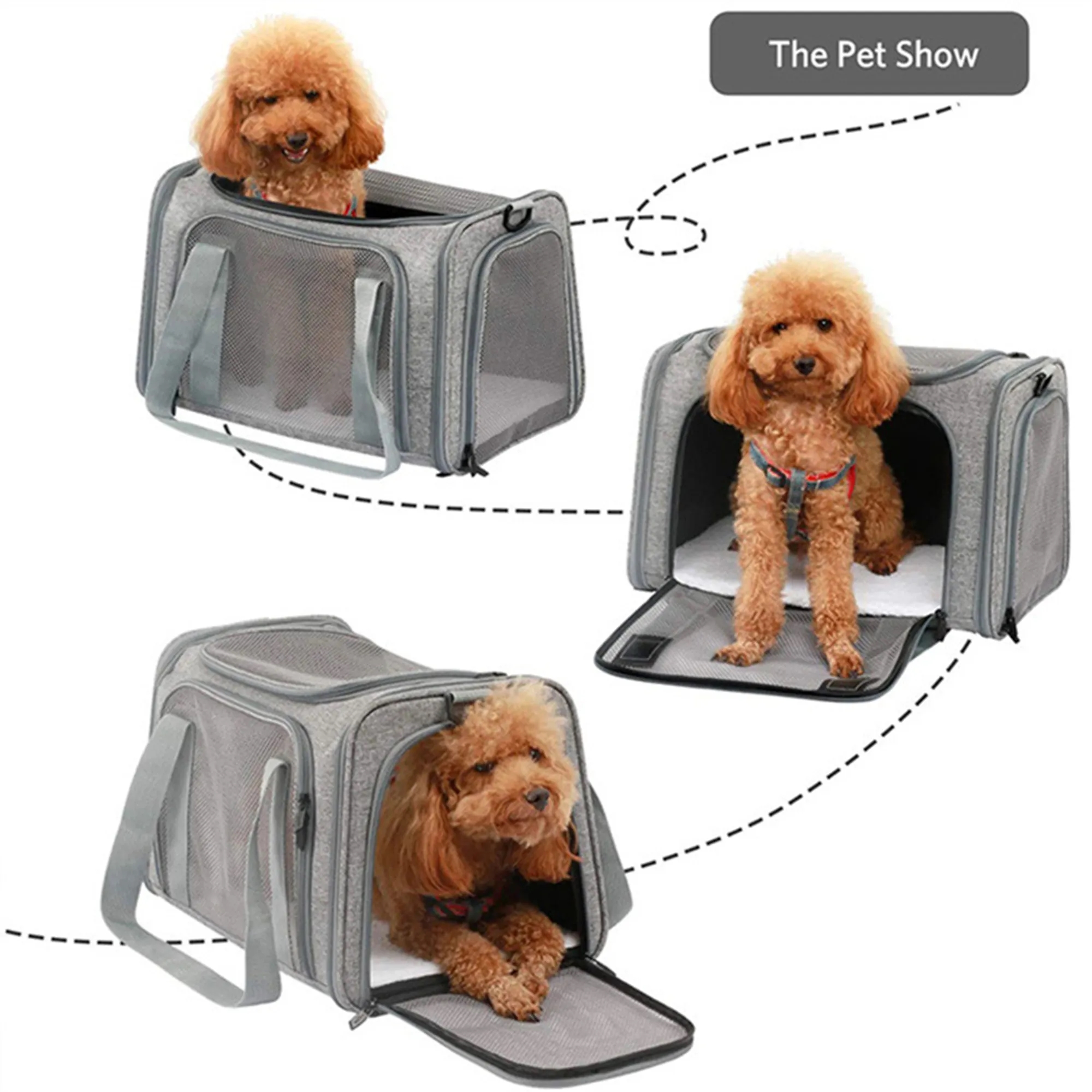 Airline Approved Cat Carrier 3
