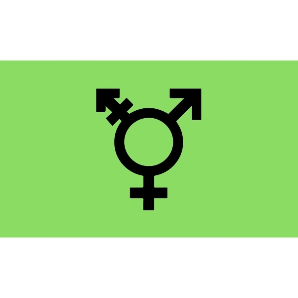 Israel Trans Stick Flag 2