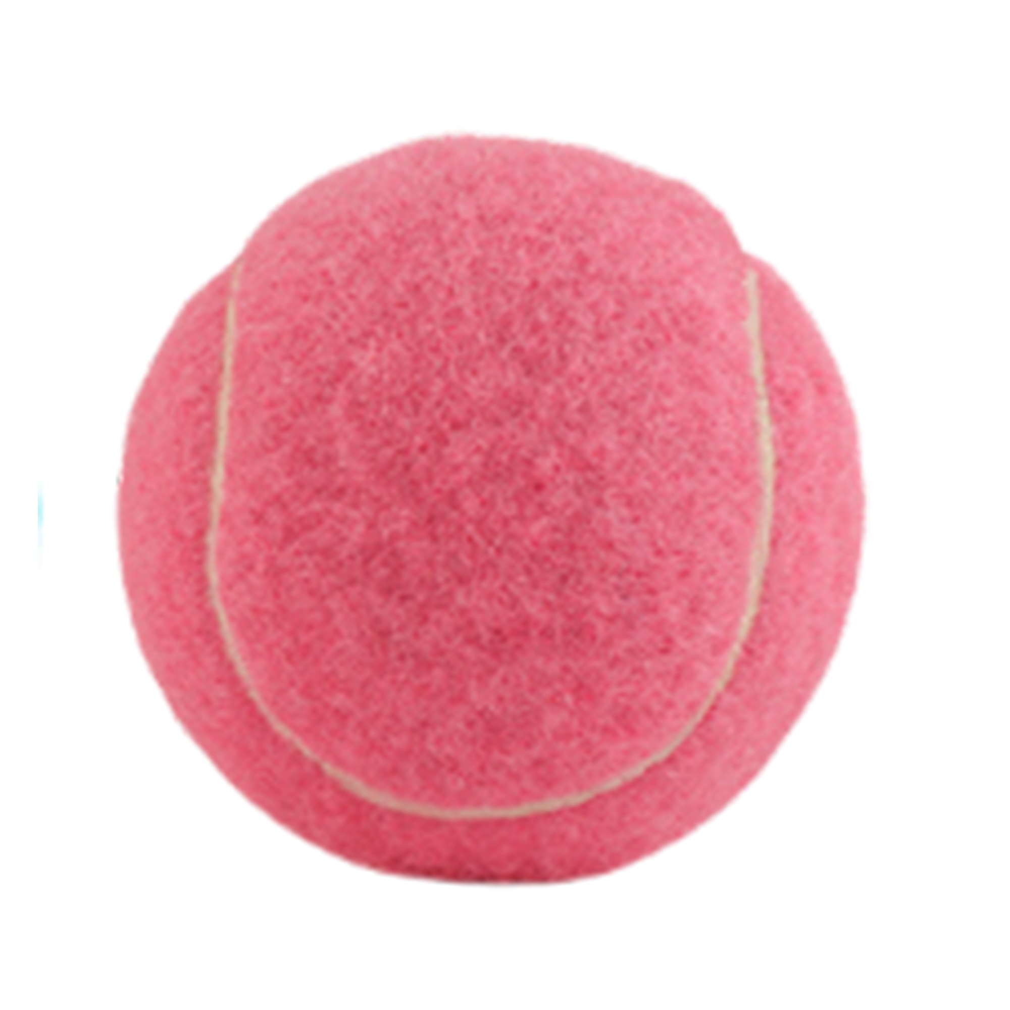 Training Dog Toy Tennis Ball 8