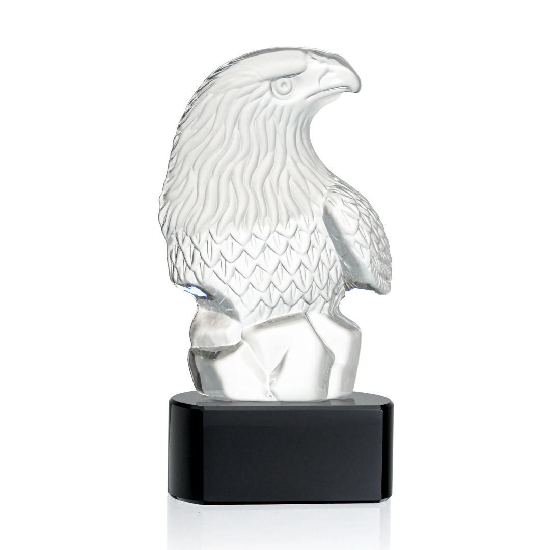 Fredricton Eagle Award on Paragon 14