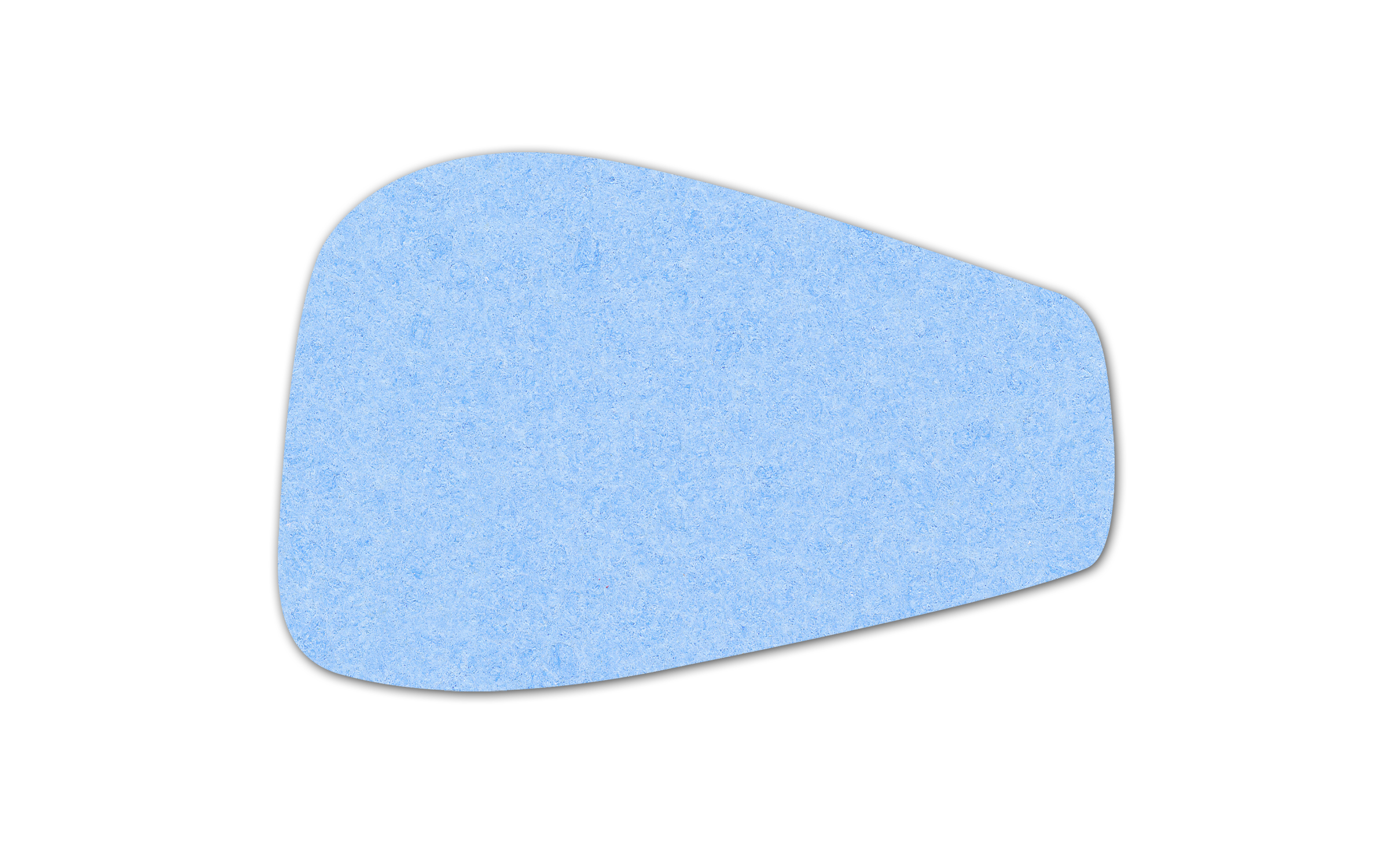 Bus Compressed Sponge 6