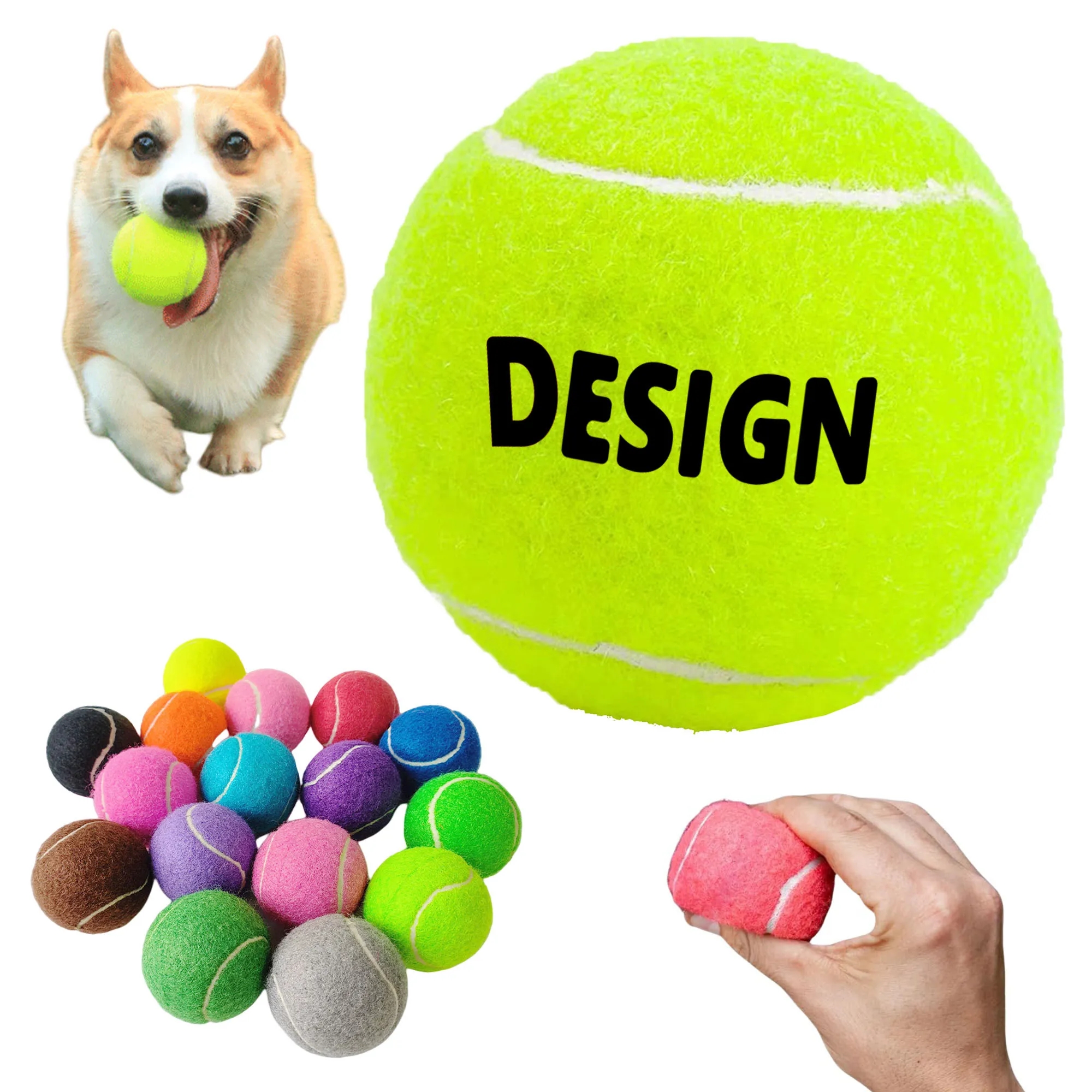 Pet Fetch Toy 2
