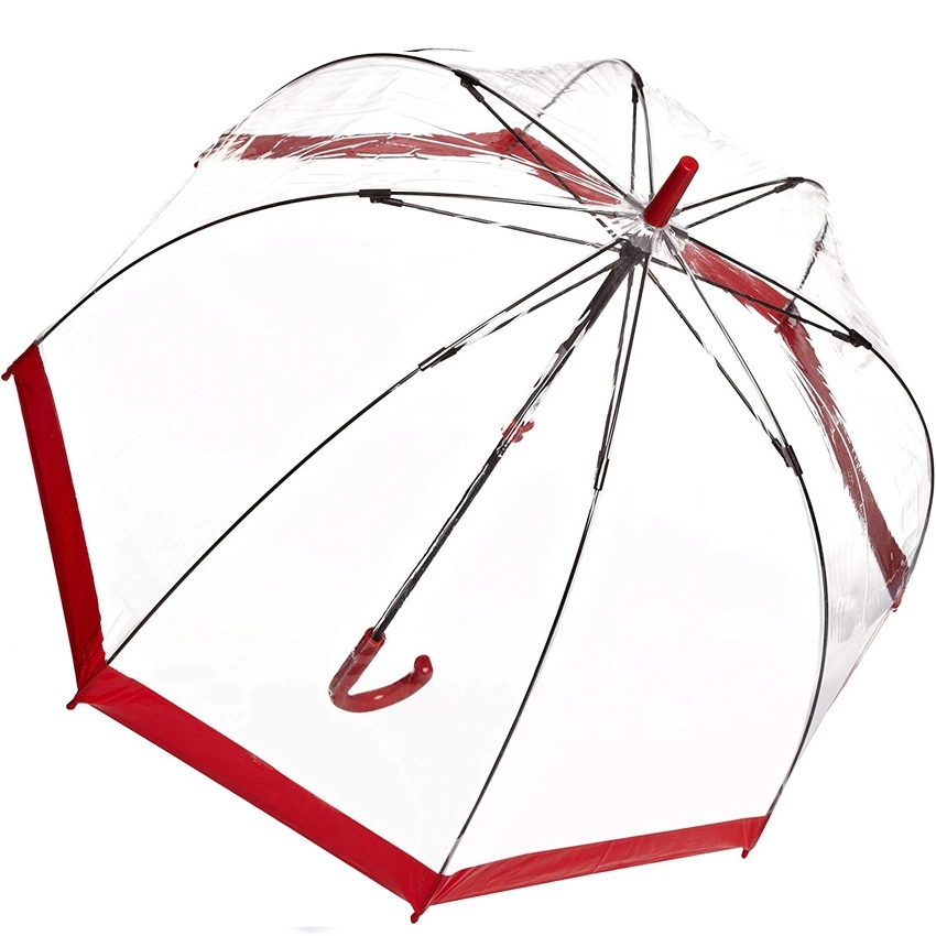 Clear and Transparent Umbrella 1