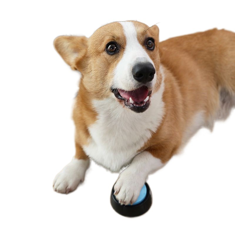 Pet Talking Button Recorder Easy Sound Buttons 9