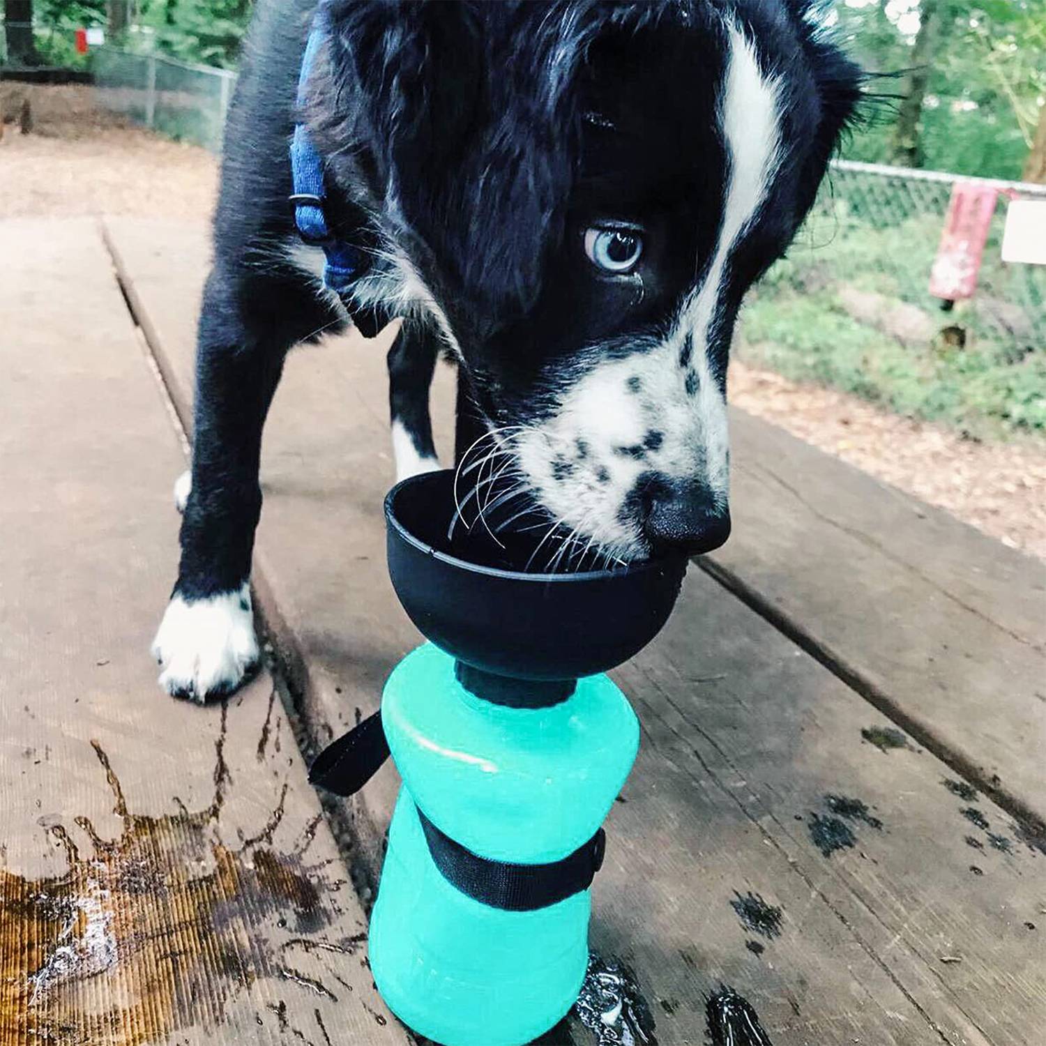 18oz Dog Travel Water Bottle – Leakproof Dispenser with Bowl 8