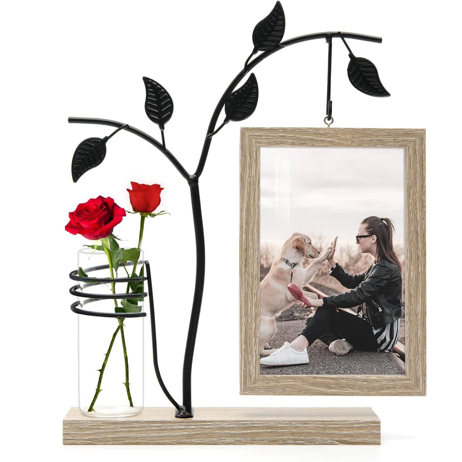 Iron Art Picture Frame Planter Holder for Home Office 2