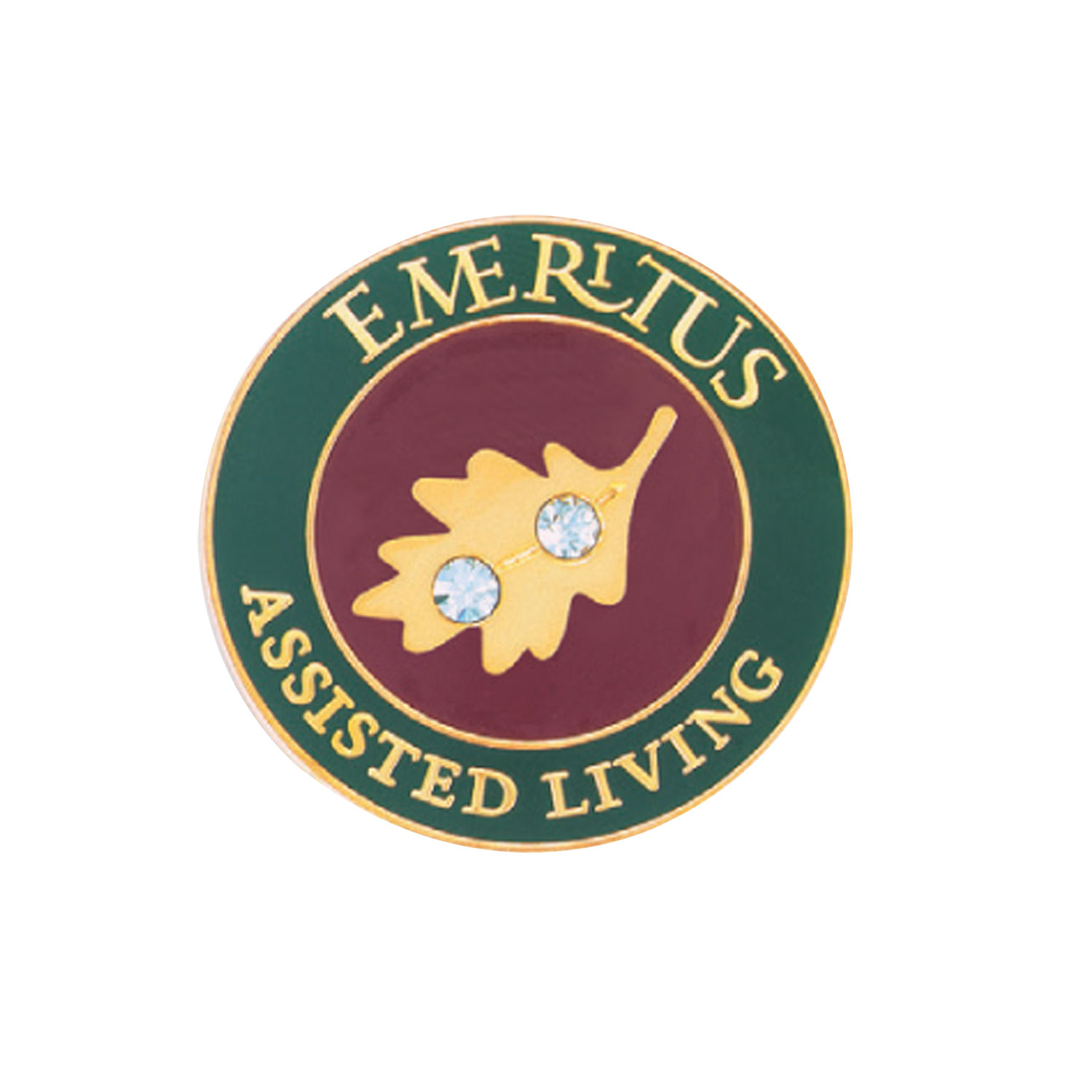 Vip Lapel Pins - Die Struck 1