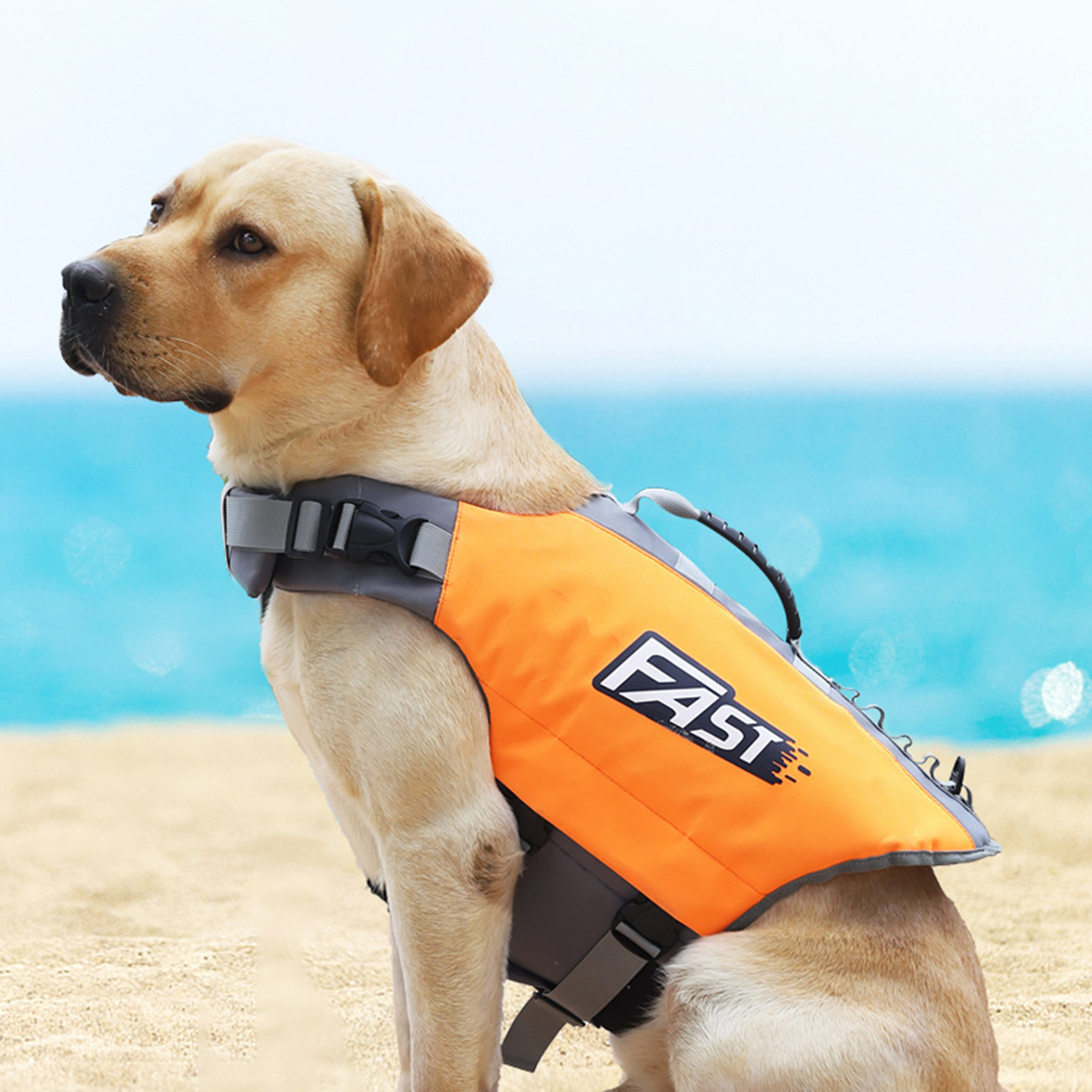 Adjustable Dog Life Jacket 2