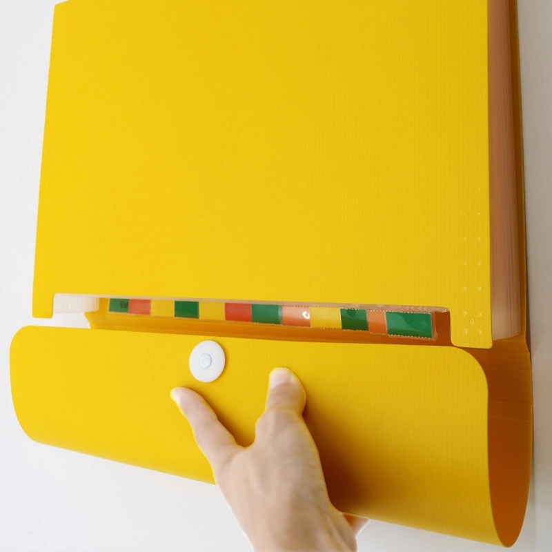 PP Plastic 13-Pocket Expanding A4-Size Portfolio File Folder 12