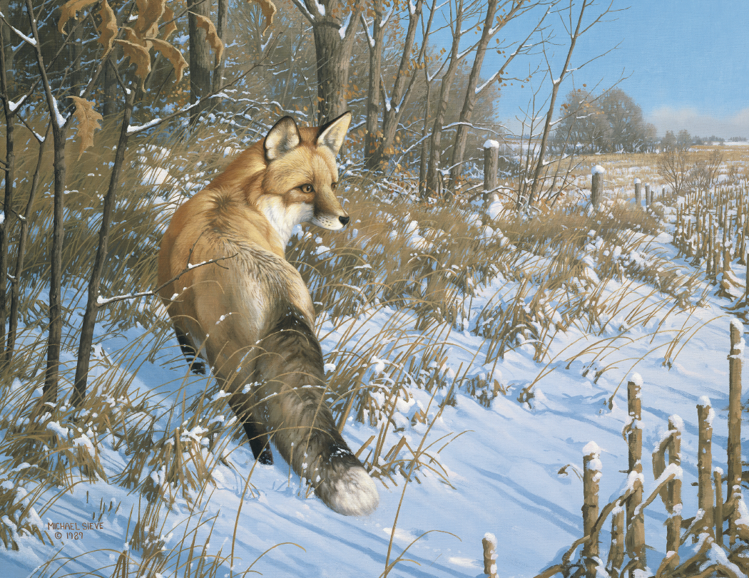 HotLine® Products Wildlife Collection Appointment Calendar - Stapled 46