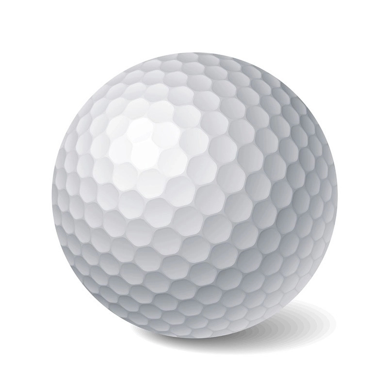3 Layer Professional Golf Ball 1
