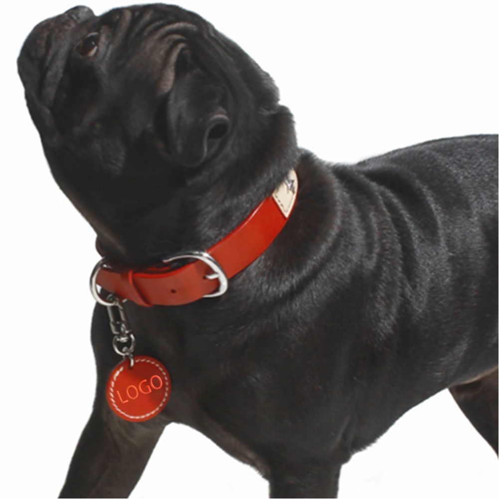 Classic Pet Collar Name Tag 4