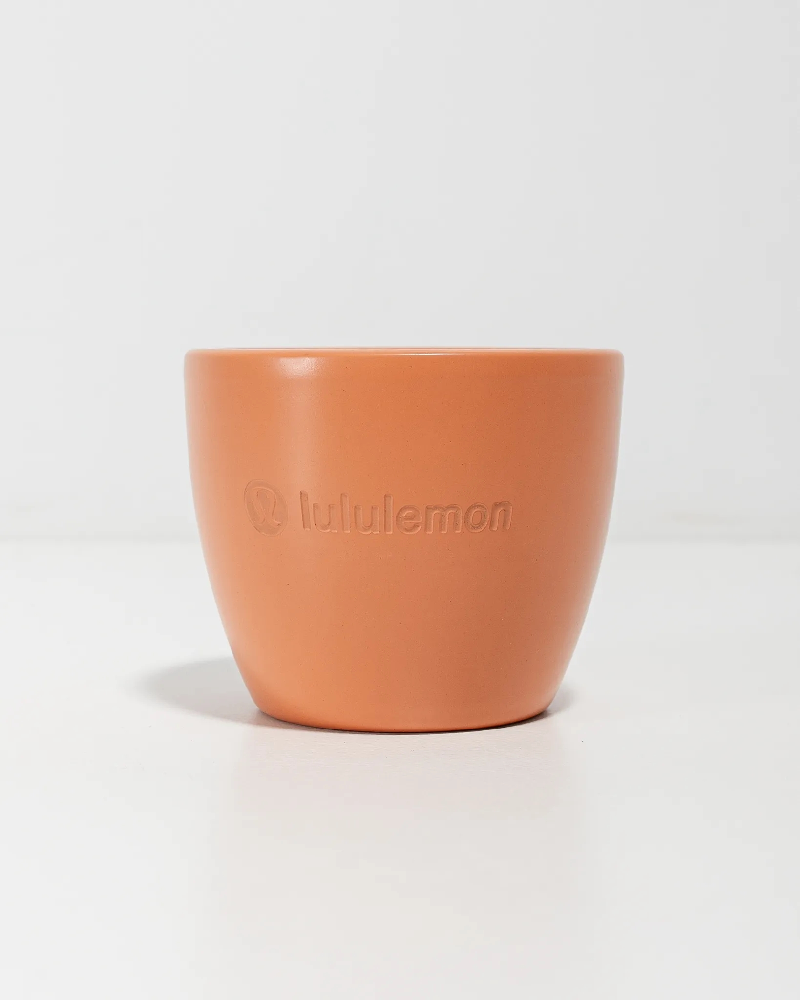 Petite Assorted Succulent Plant Kit