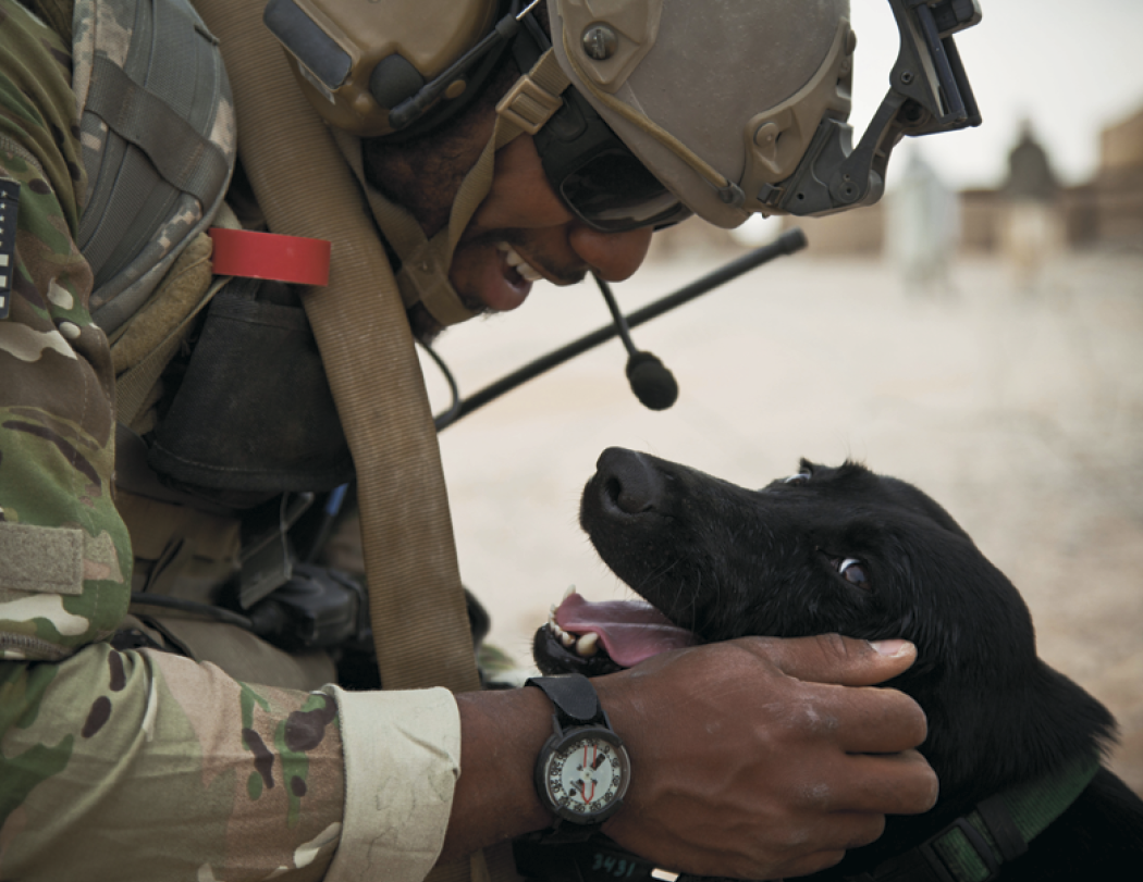 Good Value™ American Armed Forces - Spiral Calendar 25