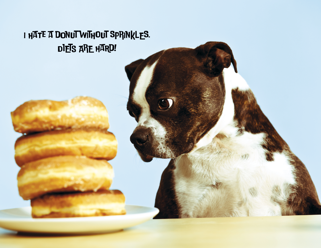 Good Value™ Pets with Attitude - Spiral Calendar 32