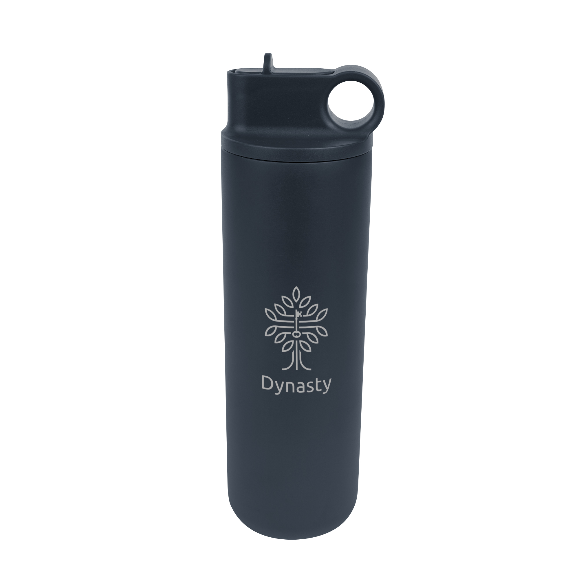 27 Oz. Roanoke Stainless Steel Bottle, custom water bottle with logo imprint 1