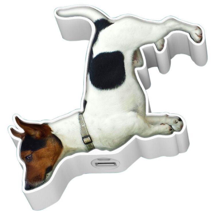 Custom Terrier Charger 2