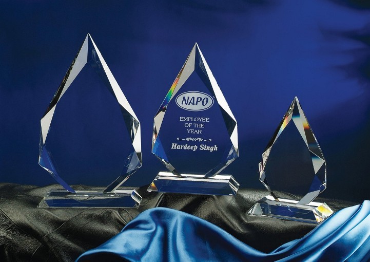 Contemporary Vistas Crystal Legend Award 1