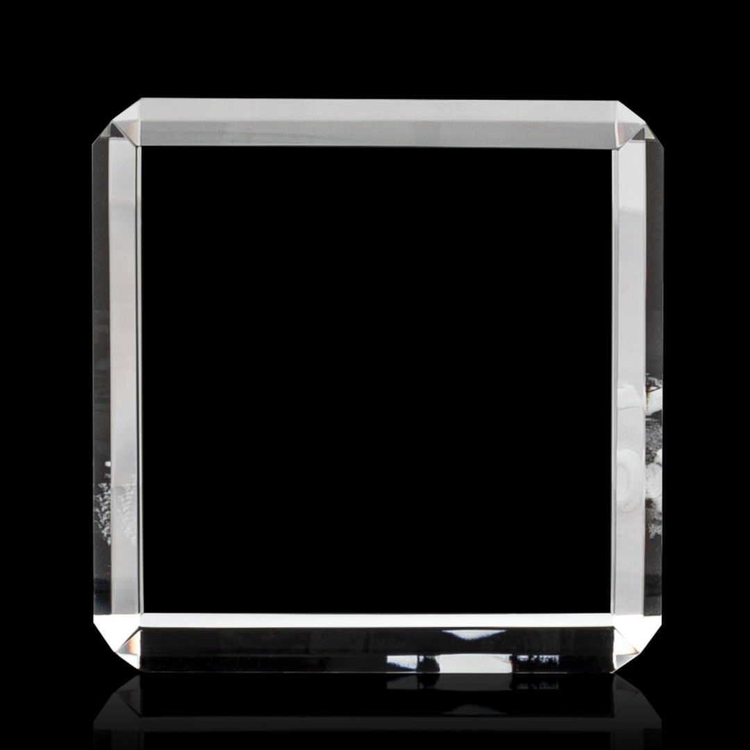 Davenport 3D Award 10